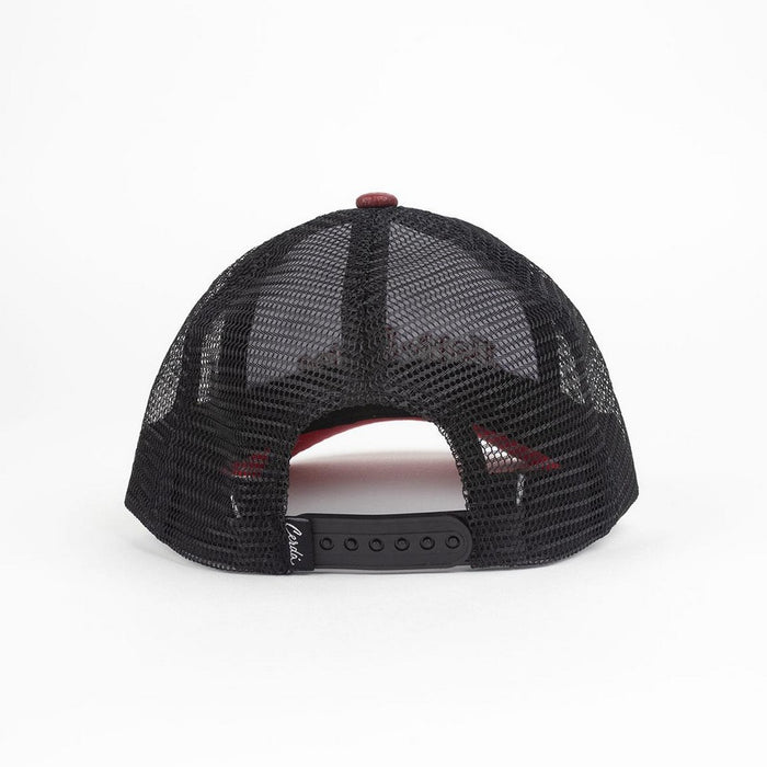 Child Cap Harry Potter Maroon Grey (53 cm)