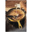 STAUB Pans 22 cm / 8.5 inch Cast Iron Traditional Deep Frypan, Citron