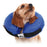 Recovery Collar for Dogs KVP Kong Cloud Blue Inflatable