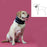 Cervical Collar for Dogs KVP Black (6-28 cm)