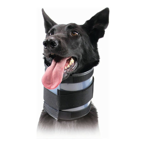 Cervical Collar for Dogs KVP Black