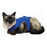 Recovery Vest for Pets KVP Blue 35-43 cm