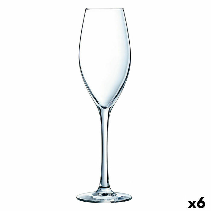 Champagne glass Éclat Wine Emotions Transparent Glass 240 ml (6 Units) (Pack 6x)