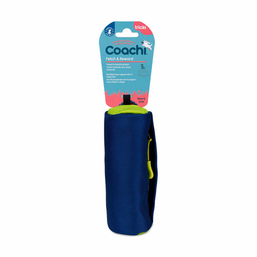 Training toy Coachi Blue