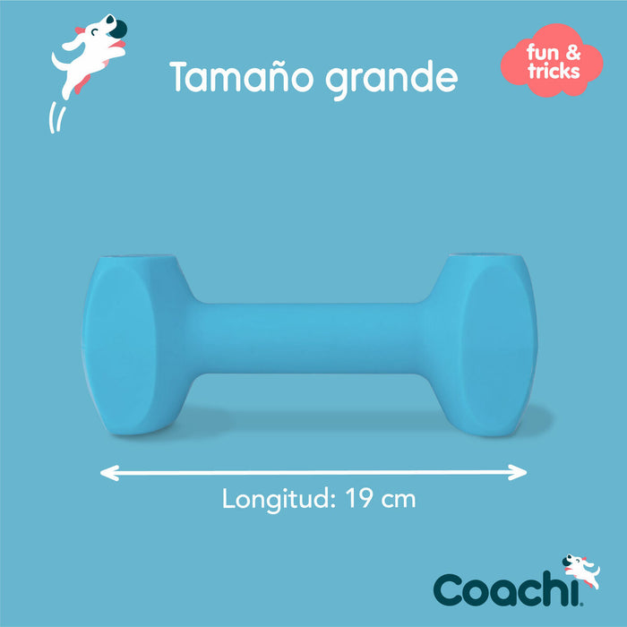 Dumbbell Coachi TRAINING DUMBBELL Blue