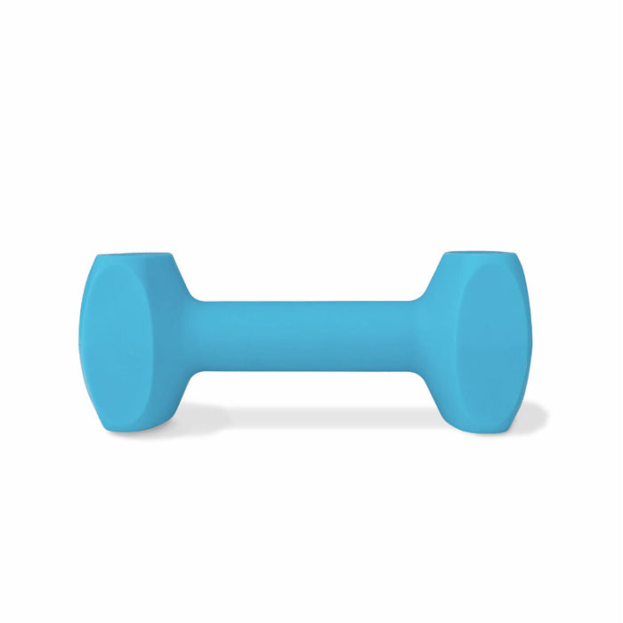 Dumbbell Coachi TRAINING DUMBBELL Blue