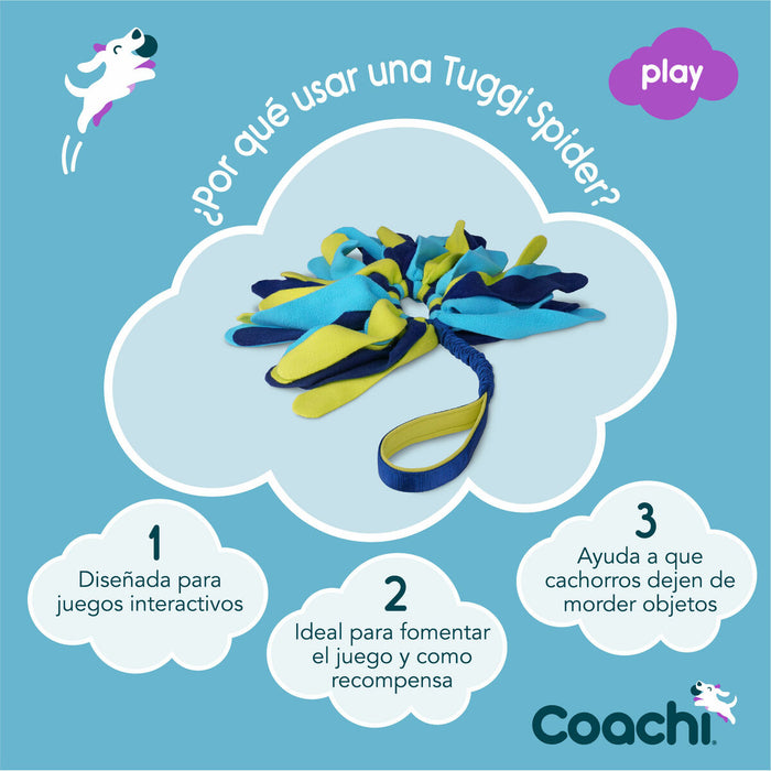 Training toy Coachi TUGGI SPIDER Blue