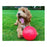 Dog toy Company of Animals Boomer Blue (100mm)