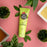 Conditioner Pet Head Mucky Puppi Dog Pear (250 ml)