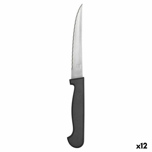 Meat Knife Amefa Metal Bicoloured 21 cm 12 Units