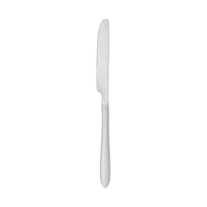 Table knife Secret de Gourmet Stainless steel 24 cm 2 Pieces