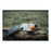 Dog toy Hunter Seagull White