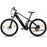 Electric Bike Alfa Romeo MTBFULL292M-K 250 W 25 km/h