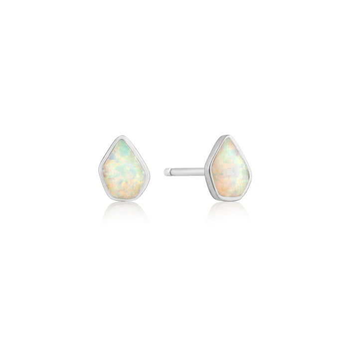 Ladies' Earrings Ania Haie E014-03H 1 cm