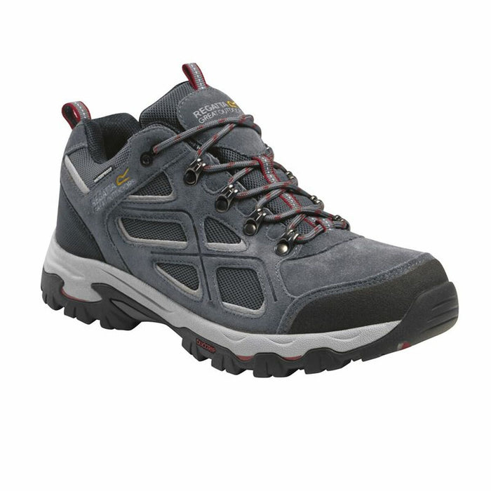 Hiking Boots Regatta Tebay  Grey Men