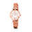 Ladies'Watch Folli Follie WF15B028BSW (Ø 25 mm)