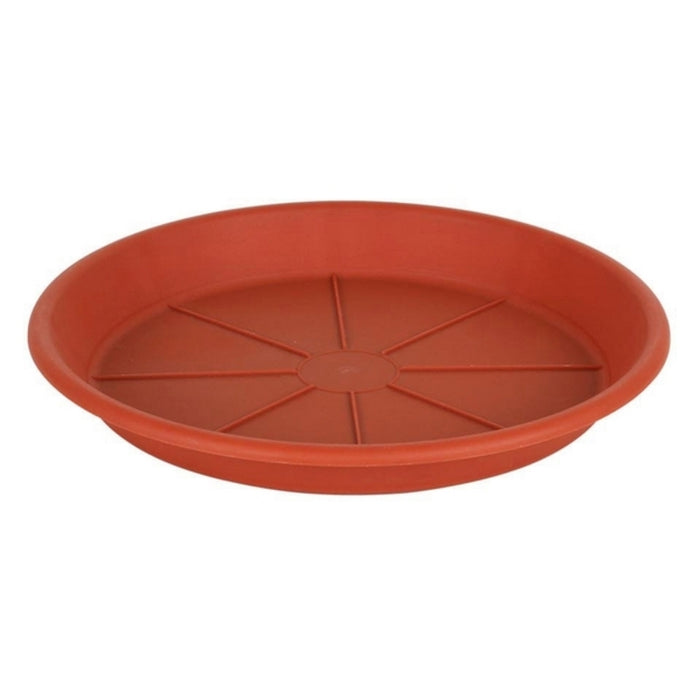 Flower Pot Dish