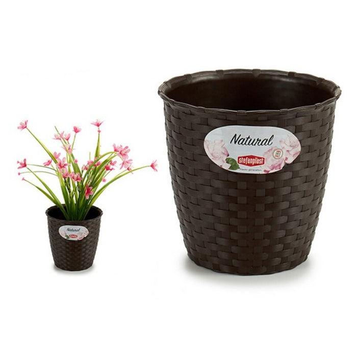 Planter Stefanplast Plastic Chocolate (14 x 12,5 x 14 cm) (14 x 13 x 14 cm)