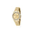 Ladies' Watch Chiara Ferragni R1953102501 (Ø 32 mm)