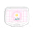 Sandwich Box Safta Flor Plastic Pink White (17 x 6 x 14 cm)