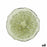 Flat plate Quid Acid Lime Green Glass 21 x 2 cm (6 Units)