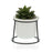 Plant pot White Ceramic Metal (10,5 x 11,5 x 10,5 cm)