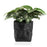 Plant pot White Ceramic (20 x 18 x 20 cm)