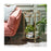 Kitchen Trolley 43 x 43 x 70 cm Mirror Golden Metal