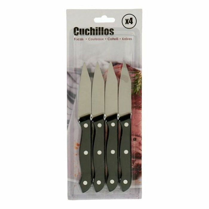 Peeler Knife (4 pcs) (1,5 x 28 x 11 cm)
