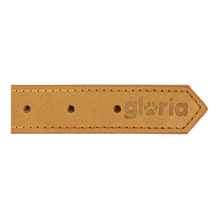 Dog collar Gloria Oasis Yellow (70 x 3 cm)