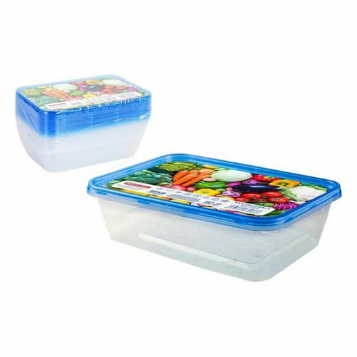 Set of 10 lunch boxes Privilege 500 ml