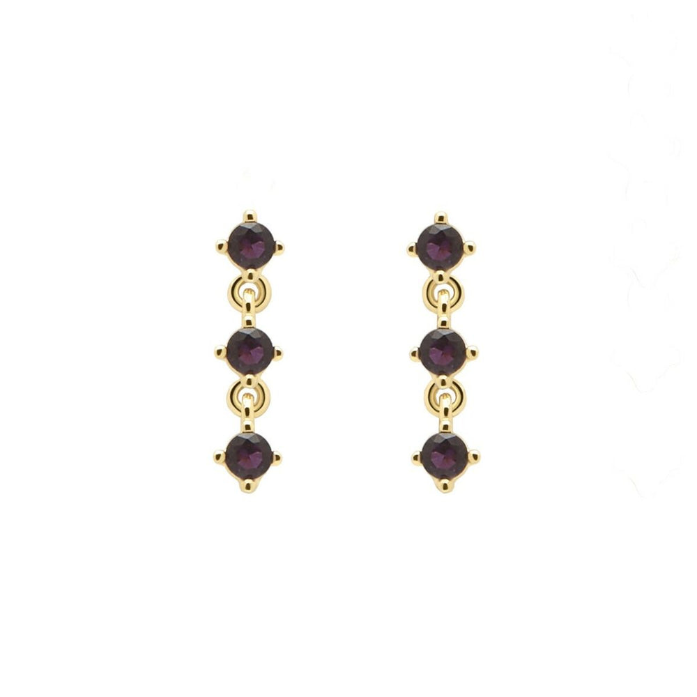 Ladies' Earrings PDPAOLA AR01-244-U 2 cm