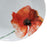 Tableware 18 Pieces Porcelain 1 cm Poppy