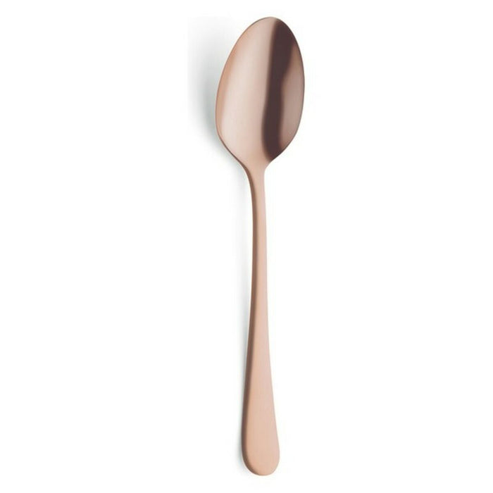 Set of Spoons Amefa (12 uds)