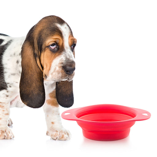 Folding Pet Bowl Heart