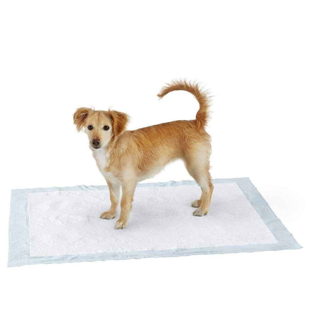 Puppy training pad Amazon Basics TRP60XLC White XL (Refurbished D)