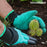 InnovaGoods Gardening Gloves with Claws