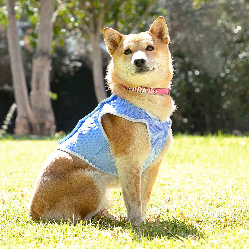 Dog Waistcoat InnovaGoods IG813888