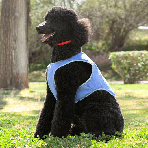 InnovaGoods Refreshing Pet Vest for Medium Pets - M