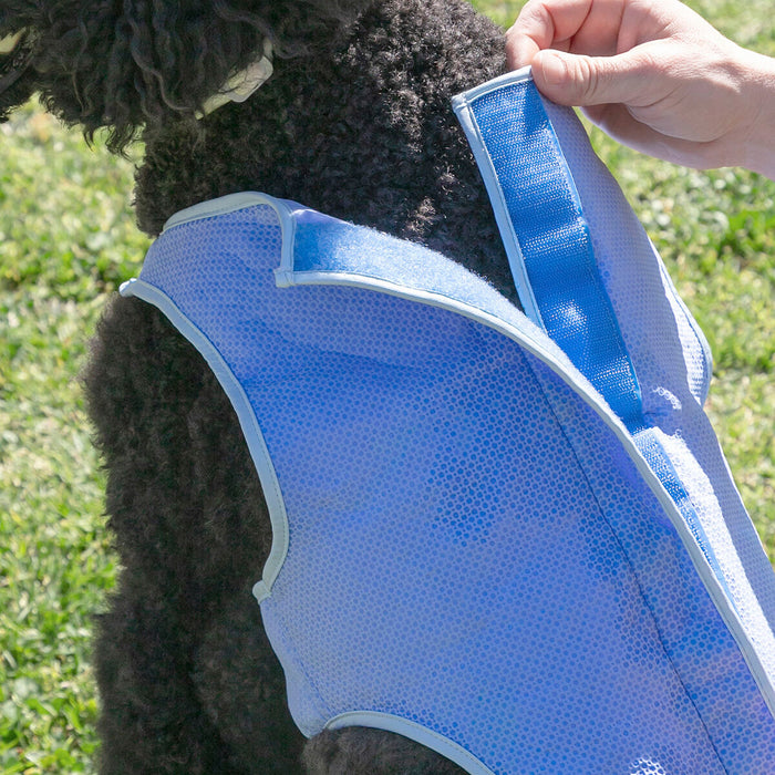 InnovaGoods Refreshing Pet Vest for Medium Pets - M