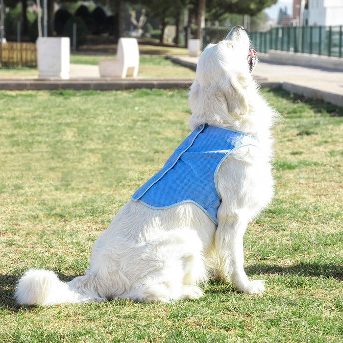 InnovaGoods Refreshing Pet Vest for Large Pets - L