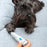 Electric Nail File for Pets PediPet InnovaGoods