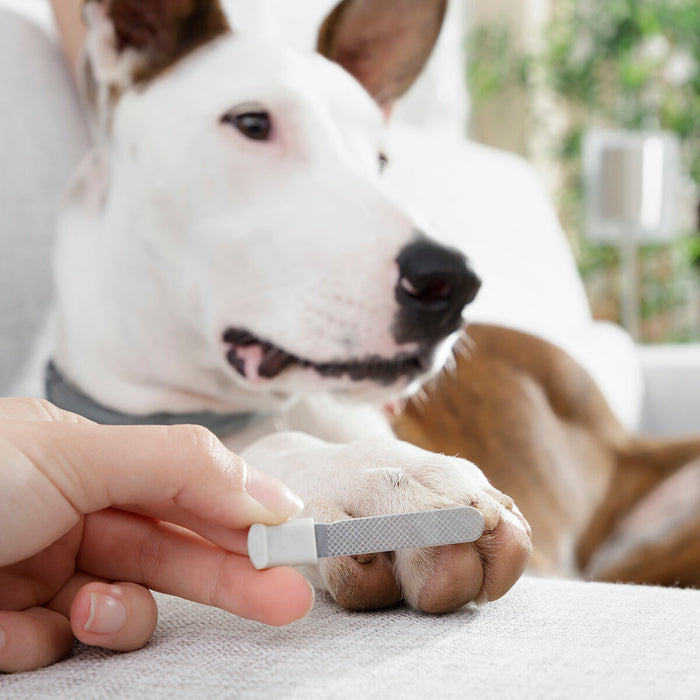 Pet Nail Clippers with LED Clipet InnovaGoods